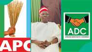 2027 election: Top political stakeholder mentions party Kwankwaso would choose between APC, ADC