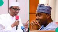 Former Senate president breaks silence on why Buhari allegedly intimidated, harassed him