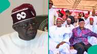 2027 election: Momodu makes claim on Tinubu allegedly forcing Obi, Kwankwaso to work together