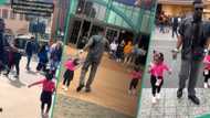 People stare as overprotective dad uses leash to hold his 2 daughters at Disneyland, video trends