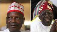 Kwankwaso to defect to APC after meeting Tinubu? NNPP gives update