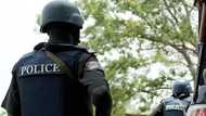 Nigerian man arrested for selling sawdust, cement, POP powder as herbal medicine for malaria, other ailments
