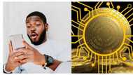 New crypto, Sleepaway Poverty Debuts with promises of rewards for holders and sellers