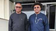 2023 polls: Peter Obi intensifies campaign strategy, holds crucial meeting with powerful southern PDP governor