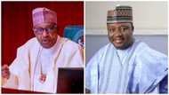 ASUU strike: Govt undermining educational sector, says Shettima Yerima