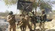Hatsabibin Mayakin Boko Haram da Sojoji suka ce sun kashe a 2019, ya mika kansa da kansa