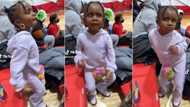 "Kelly's daughter is trending": Little girl in purple joggers dances to TikTok beat impressively, video trends