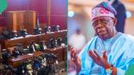 Tinubu makes demand from court over suit seeking his impeachment