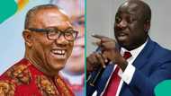 Breaking: ADC spokesman discloses why Peter Obi defected to NDC, "He couldn't take it"