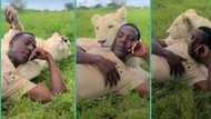 "Never try this": Man caught on camera chilling with lion on a field, video stuns many