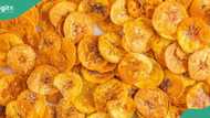 Lagos consumer protection agency reacts to viral video on “poisonous” plantain chips