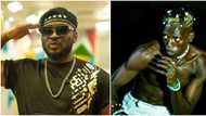 "Pere walked so he could fly": BBN fans predict military regime for Level-up housemates as Hermes becomes HOH