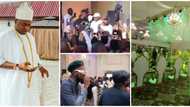 Davido, Naira Marley, Olamide, others storm Oba Elegushi's birthday party, thrill guests with hot performances