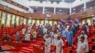 Heated reactions as Senate proposes 15-year jail term for Nigerians paying ransom to kidnappers