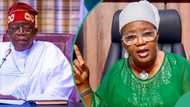 “Be patient with my father”: Tinubu’s daughter begs Nigerians amid economic hardship