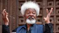 Wole Soyinka speaks about recent herdsmen invasion on his property, accuses the police of lying