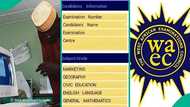 WAEC 2025: Man raises alarm as brilliant science student who had 5 A1s gets D7 in unexpected subject