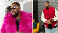 BBNaija reunion: Sheggz comes through in style for reunion show, dons pink furry look