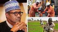 Top 5 sectors contribute over N47 trillion to Nigeria's economy