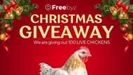Unlocking Christmas Joy: Freebyz Giveaways Chicken and Rice for Social Media Workers