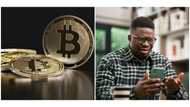Bitcoin plunges below $31,000 on Monday, dropping more than 10 per cent