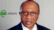 Central Bank of Nigeria reveals nigerians exchange N46.3 million on enaira platform in less than two weeks