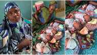 "God can do anything": Young mum gives birth to quadruplets, video of her beautiful kids goes viral on TikTok