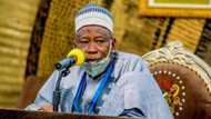 After missing out on Tinubu's ministerial list, move begins for Ganduje's APC chairmanship slot