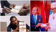 Naira ends 2022 on a positive across all foreign exchange markets after months of devaluation