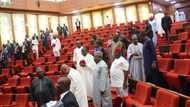 Breaking: Buhari to present 2020 budget on Tuesday, October 8 - Senate discloses
