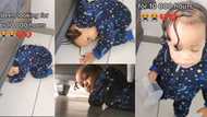 After crying for hours and searching for little daughter, mum finally finds her under the bed, video stirs hilarious reactions