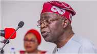 Just in: Tinubu to embark on another foreign trip? Aide reveals truth