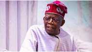 President Bola Tinubu: When Nigerians should expect ministerial list disclosed