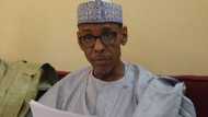 2023 presidency: Northern elders finally leak secret on their choice candidate