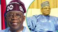 Presidency reacts to Lamido’s claims on Tinubu’s June 12 role