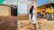 Talented man transforms house to look like truck with 3D painting skill, Nigerians praise him