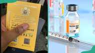 Yellow Card Nigeria: all you need to know about your Yellow Fever vaccination