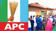 Kwara LG polls: Jubilation as APC wins all chairmanship, councillorship positions, breakdown of results emerge