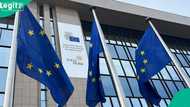 Report: Why Indian students are choosing Europe over US for postgraduate studies