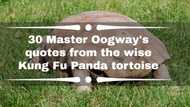 30 Master Oogway's quotes from the wise Kung Fu Panda tortoise