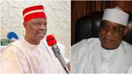 Just in: Fear grips Kwankwaso as NNPP national chairman Alkali resigns, gives reason