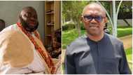 2023 election: Sole reason Peter Obi was “recruited”, Asari Dokubo makes stunning revelation