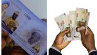 Naira scarcity leads event planners to print vouchers for spraying at parties