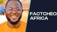 Legit.ng’s Managing Editor Joins FactCheck Africa’s AI Journalism Fellowship as Newest Fellow