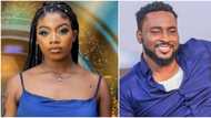 You played the wildcard well, stop pointing fingers: Tension heightens in the house as Angel blasts Pere
