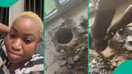 Businesswoman finds something mysterious while digging the floor of her shop, video trends