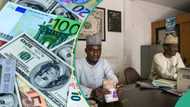 "Full list": Top 10 approved BDCs to get $15.7 million weekly from CBN to stabilise the naira