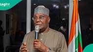 2027: Atiku ya kawo hujjoji, ya zargi Tinubu da naɗa wanda zai ruguza 'yan adawa a INEC