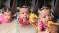"Make una no born my pikin o": Reactions as cute baby enjoys garri and soup in video