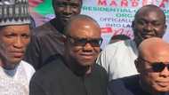 Peter Obi: Labour Party presidential candidate not a hater of northerners, says Aide